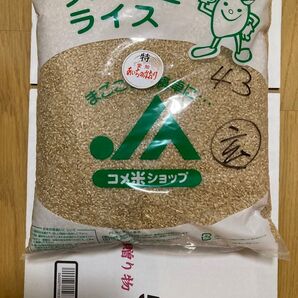 特別栽培米 あいちのかおり 玄米 20kg (5kg × 4袋) 令和6年産