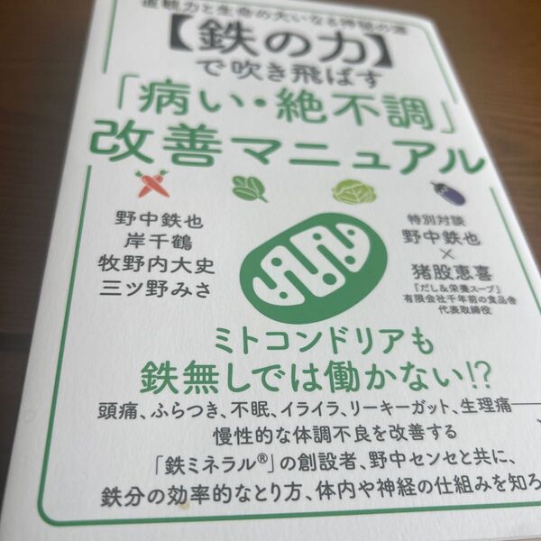 〈鉄の力〉で吹き飛ばす「病い・絶不調」改善マニュアル 直観力と生命の大いなる神秘の源 野中鉄也/〔ほか〕著