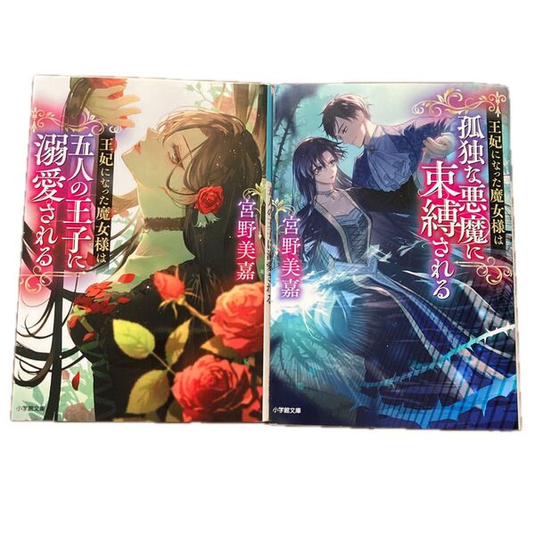 王妃になった魔女様は五人の王子に溺愛される 王妃になった魔女様は孤独な悪魔に束縛される 宮野美嘉 2冊セット