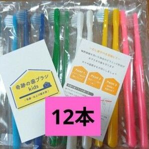 【正規品】奇跡の歯ブラシ バージョンアップ品 子供用歯ブラシ 衛生用品 衛生用品 仕上げ磨き 虫歯予防 12本 tljtj