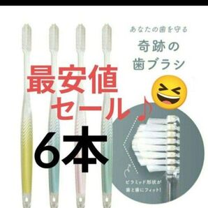 【正規品】奇跡の歯ブラシ バージョンアップ品 大人用歯ブラシ 衛生用品 仕上げ磨き 虫歯予防 6本 tkuh