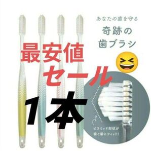 【正規品】奇跡の歯ブラシ バージョンアップ品 大人用歯ブラシ 衛生用品 仕上げ磨き 虫歯予防 1本 ujwa