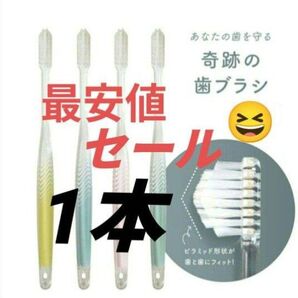 【正規品】奇跡の歯ブラシ バージョンアップ品 大人用歯ブラシ 衛生用品 仕上げ磨き 虫歯予防 1本 wtj@p