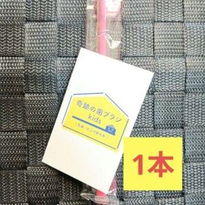 【正規品】奇跡の歯ブラシ バージョンアップ品 子供用歯ブラシ 衛生用品 衛生用品 仕上げ磨き 虫歯予防 1本tgtj