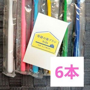 【正規品】奇跡の歯ブラシ バージョンアップ品 大人用歯ブラシ 衛生用品 仕上げ磨き 虫歯予防 6本 uv5x