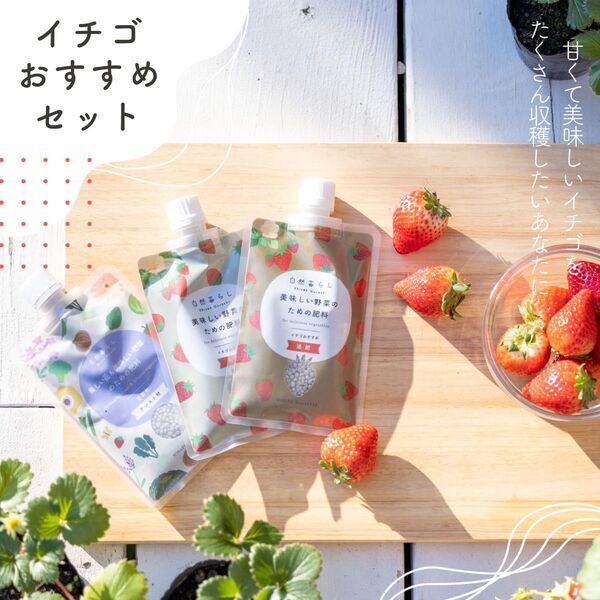 イチゴおすすめセット 元肥・追肥・骨粉入りアシスト材セット