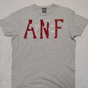 Abercrombie & Fitch メンズ Tシャツ グレー M