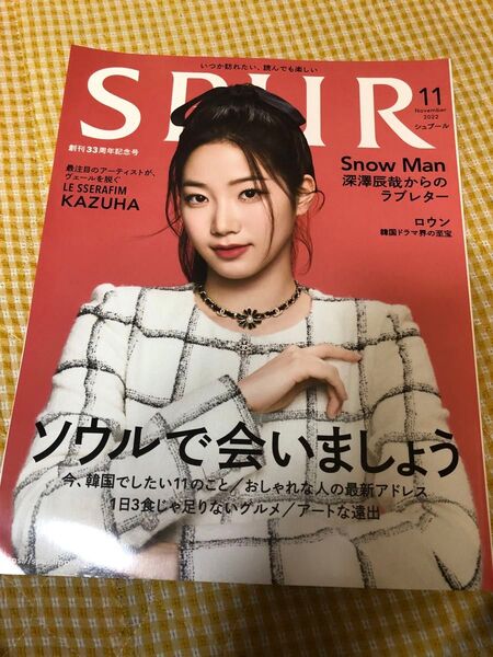 SPUR シュプール 2022年11月号