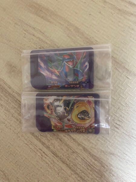 ポケモンフレンダ スーパートレジャー ボーマンダ テツノイワオ フレンダ ポケモン