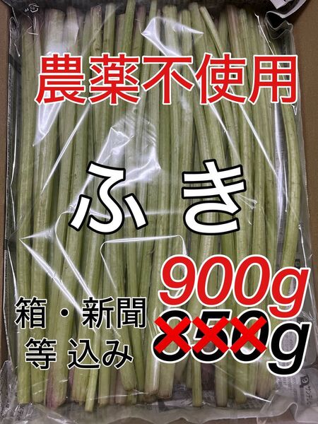 農薬不使用 ふき フキ 山菜