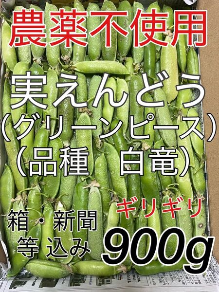 農薬不使用 グリーンピース 実エンドウ 実えんどう エンドウ豆 えんどう豆 白竜 野菜