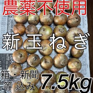 農薬不使用 新タマネギ 新玉ねぎ 玉ねぎ タマネギ たまねぎ オニオン 野菜