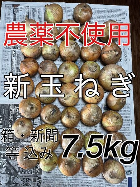 農薬不使用 玉ねぎ タマネギ たまねぎ 新タマネギ 新玉ねぎ 新たまねぎ 野菜 野菜詰め合わせ オニオン