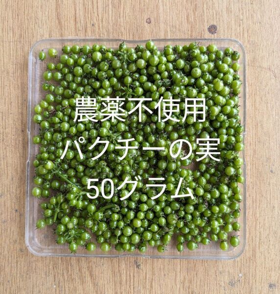 農薬不使用パクチーの実50グラム