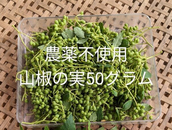 農薬不使用山椒の実50グラム