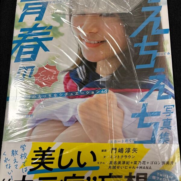 値下げ! 青春のえちえち写真集 学校生活のえっちなシチュエーション46 門嶋淳矢/撮影 ミントクラウン/文