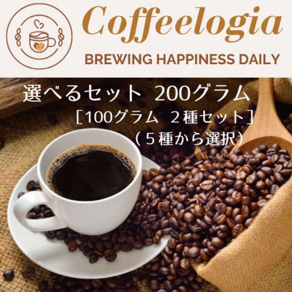 【選んで 自家焙煎珈琲豆セット】お好みの厳選スペシャリティコーヒーを2種、各100g