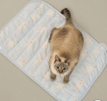 ジェラピケ 接触冷感 シロクマ柄COOLINGマット ペットマット gelatopique 犬 猫