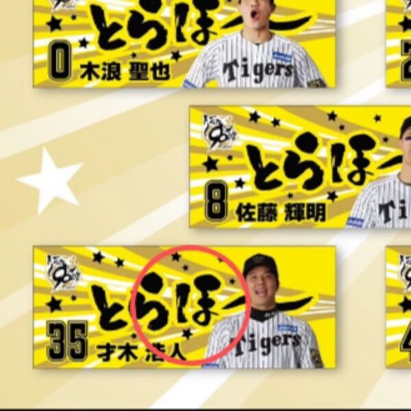 とらほータオル 才木浩人 35