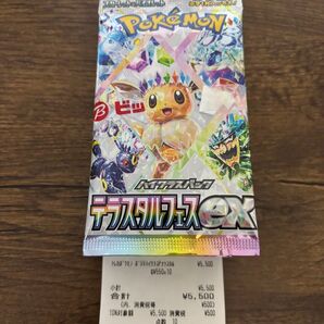 【SAR封入】テラスタルフェスex 1BOX【未開封】