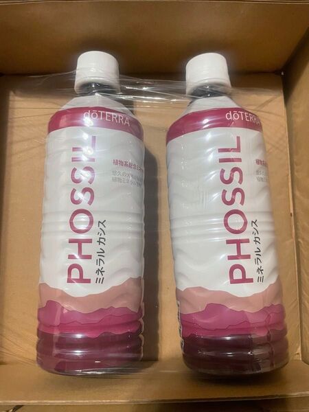 ドテラミネラルカシス2本