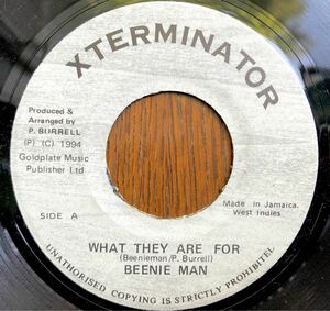 激レア 希少 1994 Beenie Man / What They Are For ビーニマン ワット ゼイ アー フォー Original Jamaica 7 XTerminator 絶版