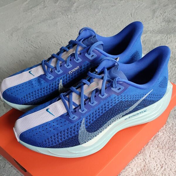 27cm NIKE Pegasus PLUS CM(ペガサスプラス)