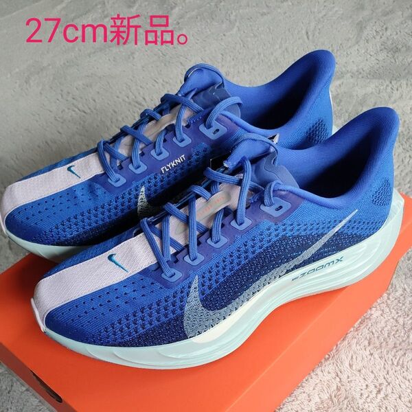 27cm NIKE Pegasus PLUS CM(ペガサスプラス)