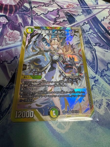 聖霊龍王 メルヴェイユ