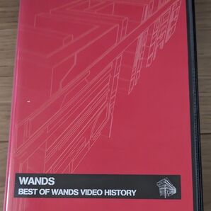WANDS BEST OF WANDS VIDEO HISTORY VHS