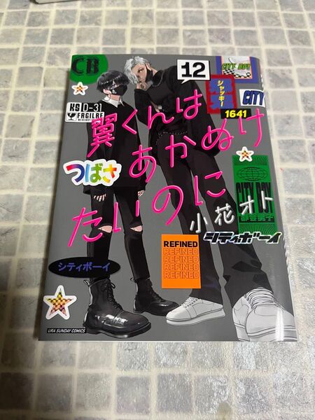 翼くんはあかぬけたいのに 12 (裏少年サンデーコミックス) 小花オト/著