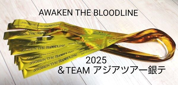 &TEAM 2025アジアツアー 銀テ AWAKEN THE BLOODLINE