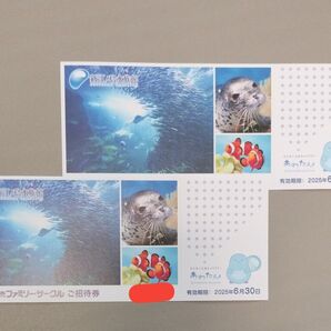 新江ノ島水族館 ご招待券 2枚