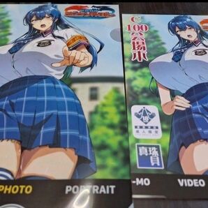 美品 未使用 C100 会場限定本 A4サイズクリアファイル セット / 真珠貝 武田弘光 コミケ