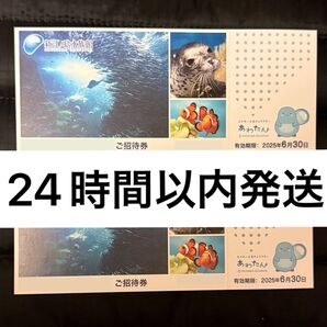 新江ノ島水族館 招待券 2枚 ペアチケット