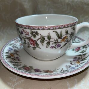 ロイヤルドルトン フローラバインボタニカル カップ&ソーサー