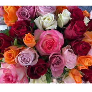 農園直送 ご家庭用切花薔薇大特価