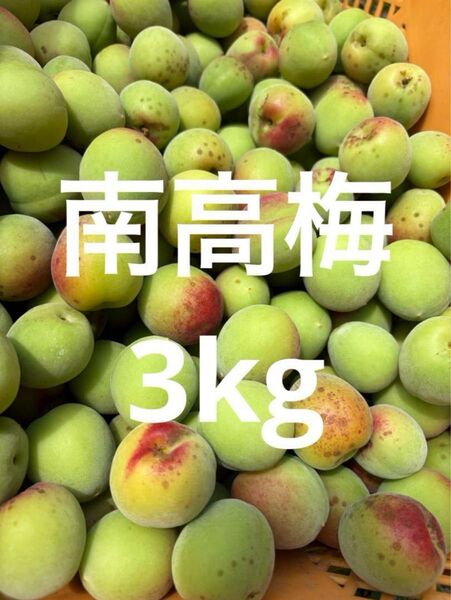 和歌山県産 紀州南高梅 3kg 農薬不使用