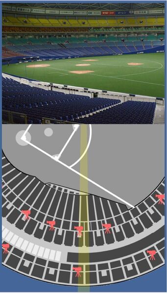 7月13日(日) 中日ドラゴンズvs広島東洋カープ 一塁側 内野A 4列 連番2枚