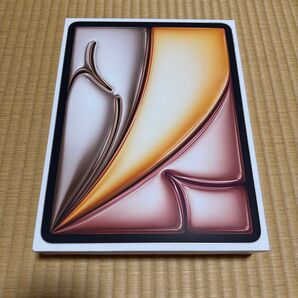 【値下げ不可】13インチ iPad Air(M3)Wi-Fi 128GB スターライト