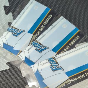 マスクケース ファイターズ 3つセット