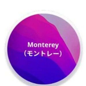 macOS USB起動可能 ブータブルインストーラー Monterey(モントレー)