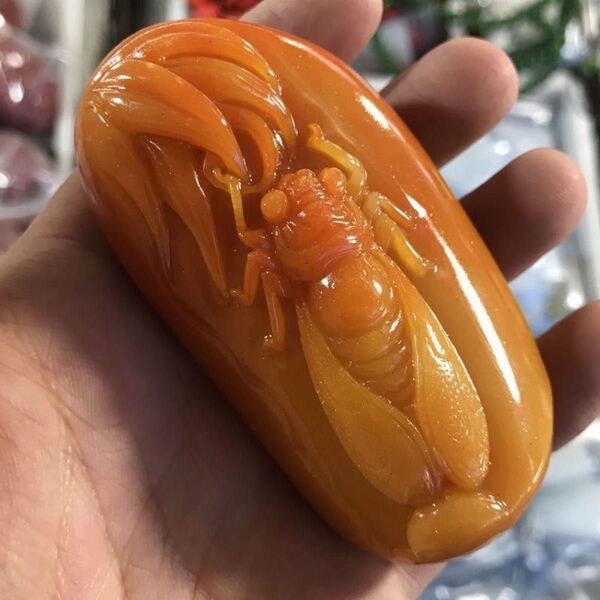 PD25細工彫刻 蝉 縁起物金運 古美術 お守り 古美術 風水 旧家蔵出し 彫刻 根付
