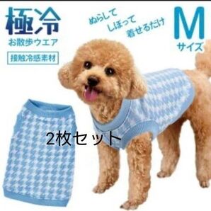 接触冷感 犬服