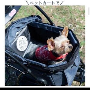 TAOTAOペットクーラー