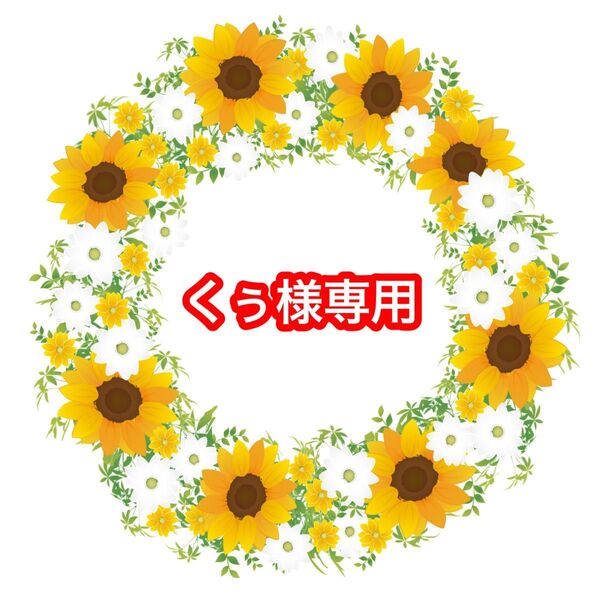 山田涼介 アライグマ トカゲ デコパーツ うちわ ③