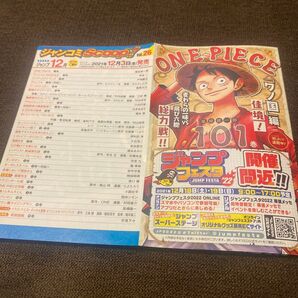 チラシ ワンピース ONEPIECE 101巻