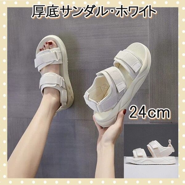 白 38 24cm レディース シューズ サンダル 厚底サンダル スポーツサンダル ホワイト