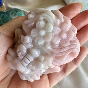 ピンクオパール 花 龍亀