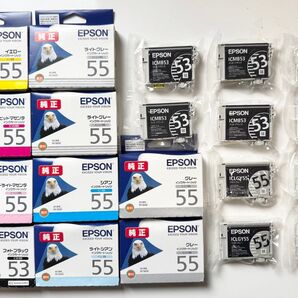 エプソン EPSON IC9CL55 9色 20本セット PX-5600 純正インク 55